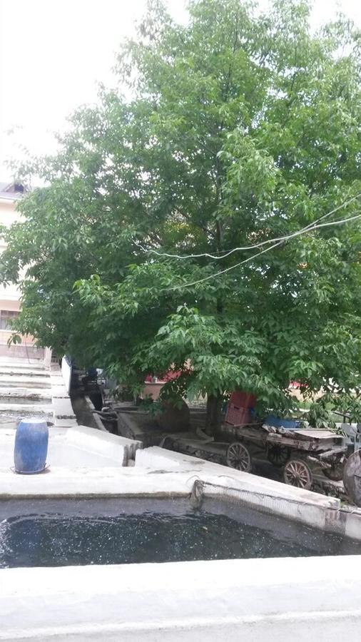 Alanlar Alabalik Ve Otel Ağlasun Extérieur photo